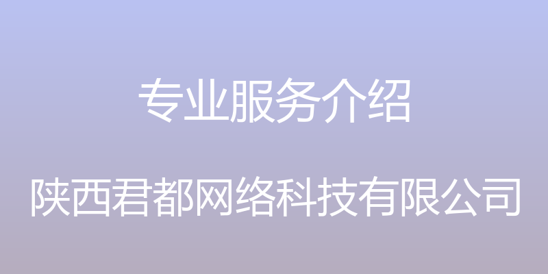 专业服务介绍 - 陕西君都网络科技有限公司