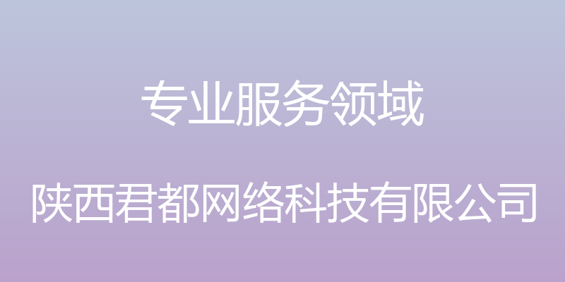 专业服务领域 - 陕西君都网络科技有限公司